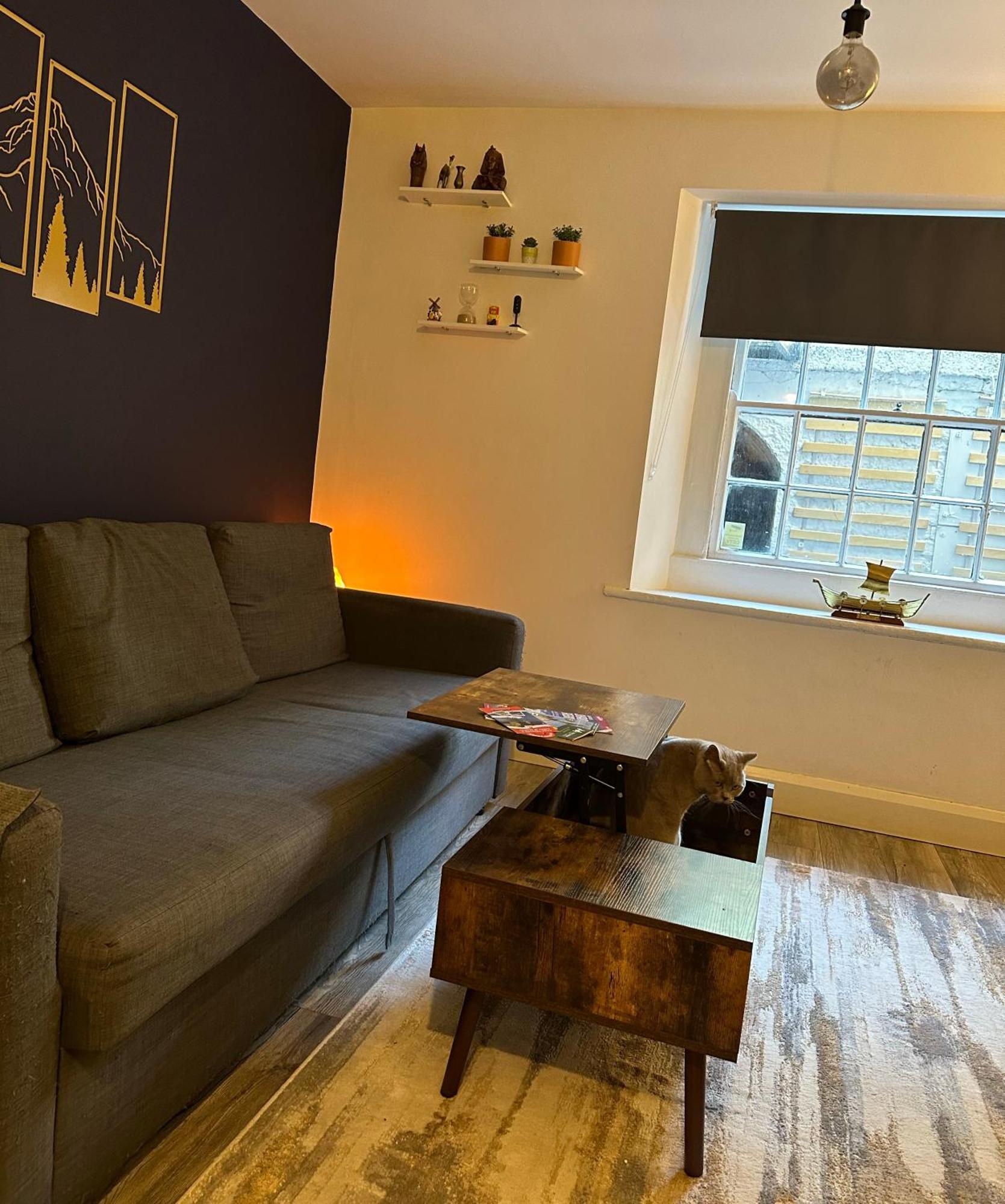 Entire Apartment In Dublin Eksteriør billede